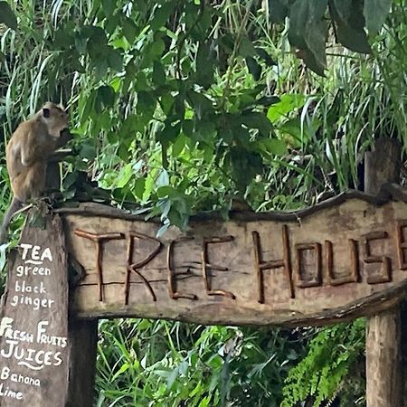 Ella Treehouse 호텔 외부 사진
