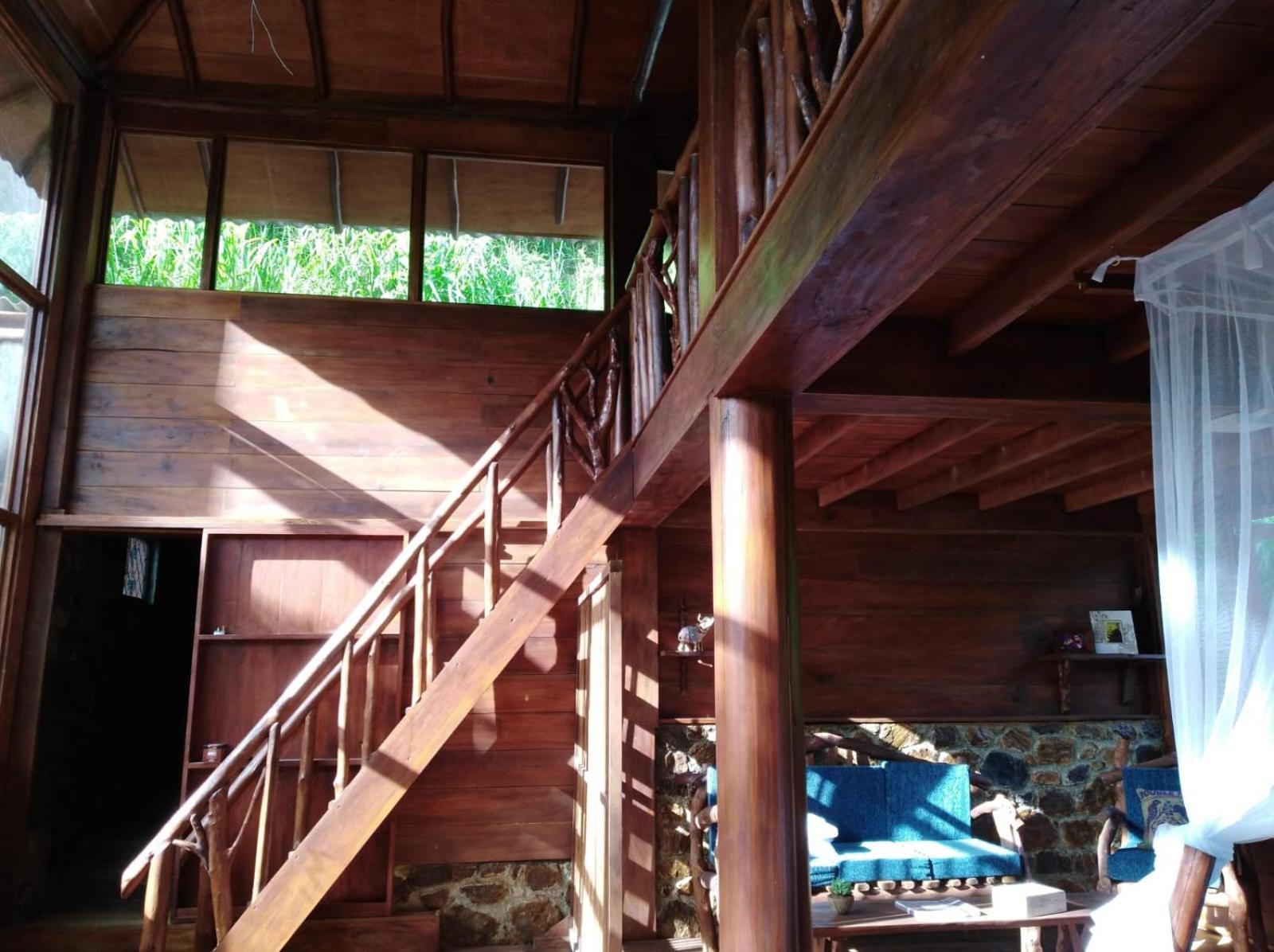Ella Treehouse 호텔 외부 사진