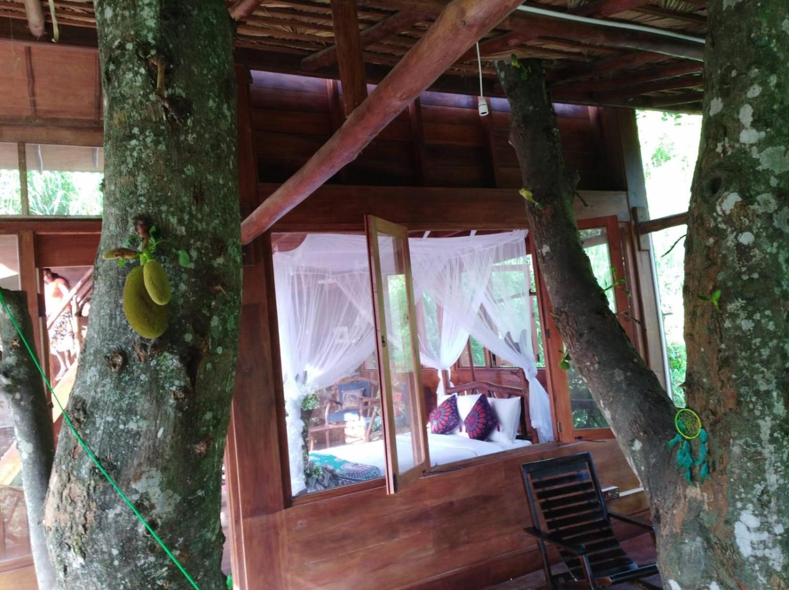 Ella Treehouse 호텔 외부 사진