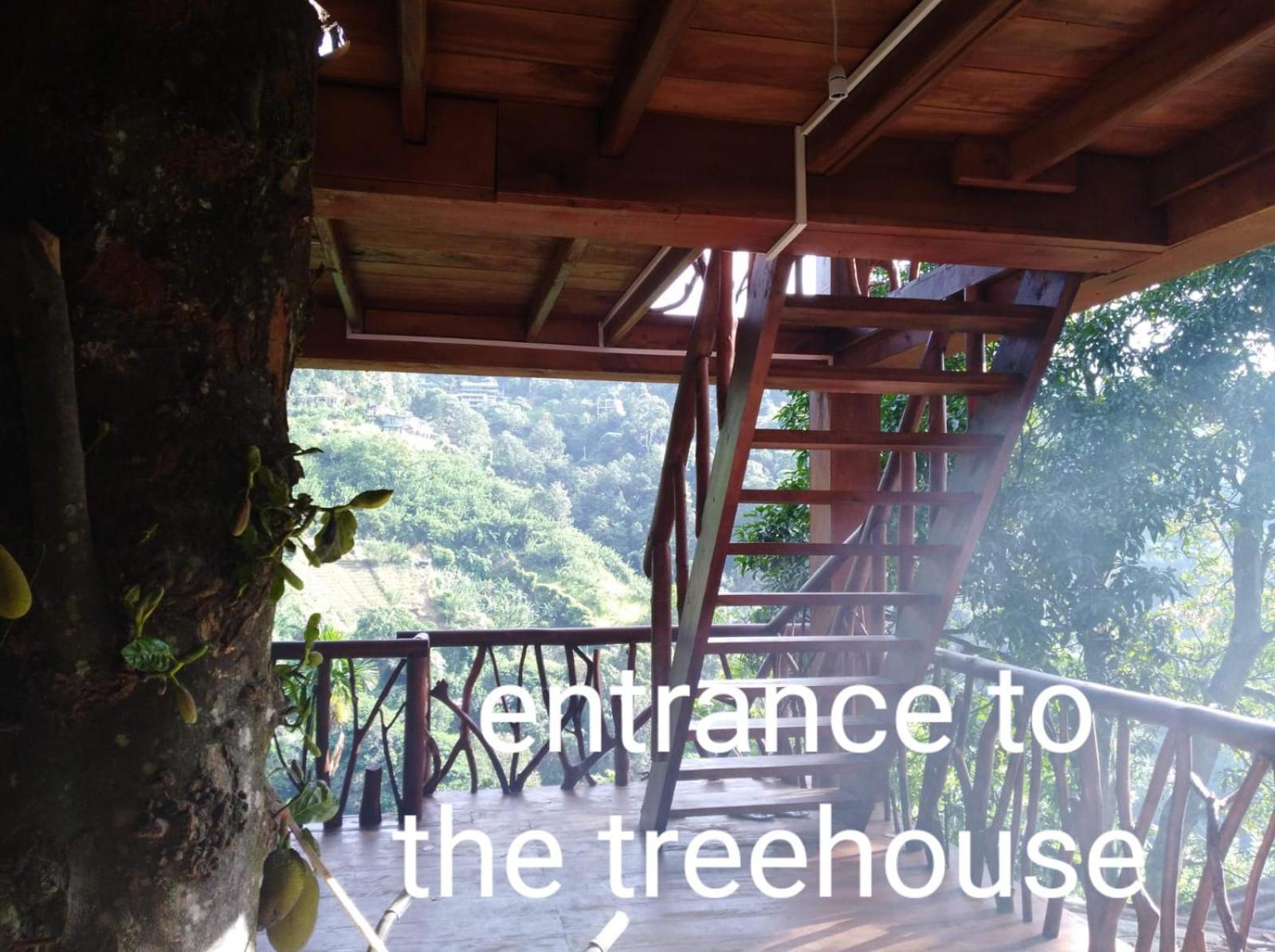 Ella Treehouse 호텔 외부 사진