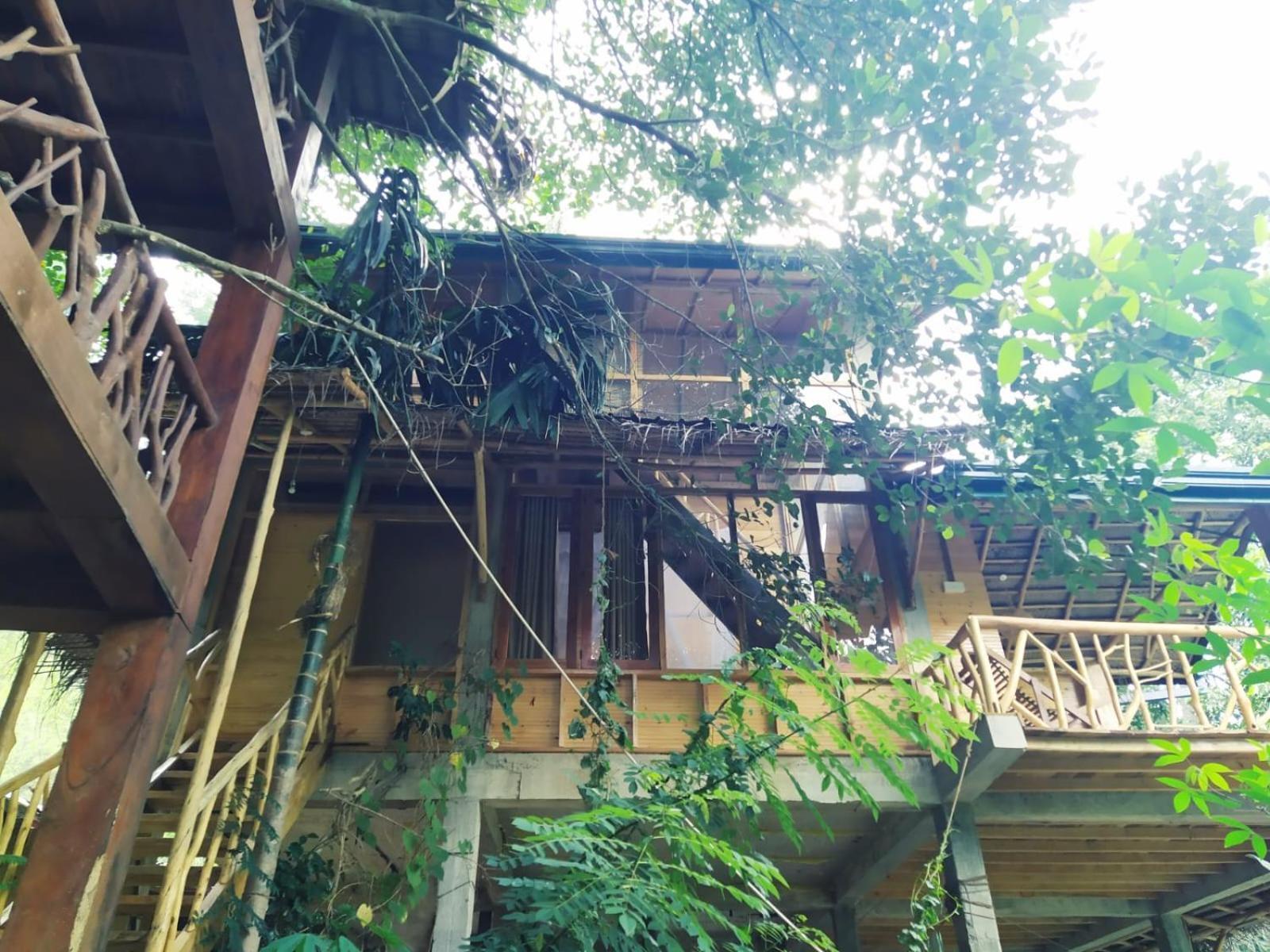 Ella Treehouse 호텔 외부 사진