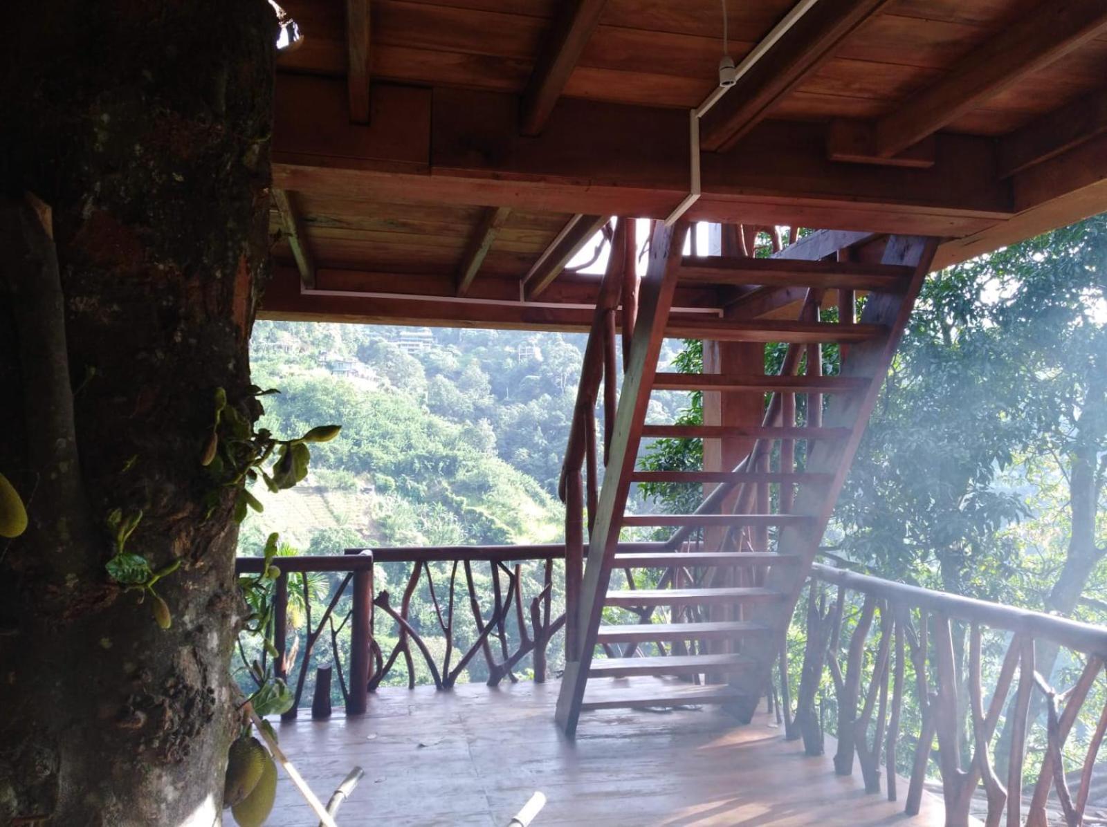 Ella Treehouse 호텔 외부 사진
