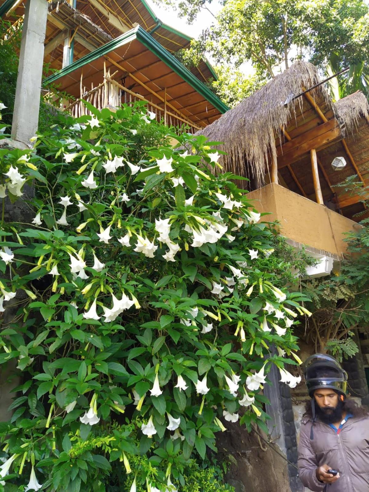 Ella Treehouse 호텔 외부 사진
