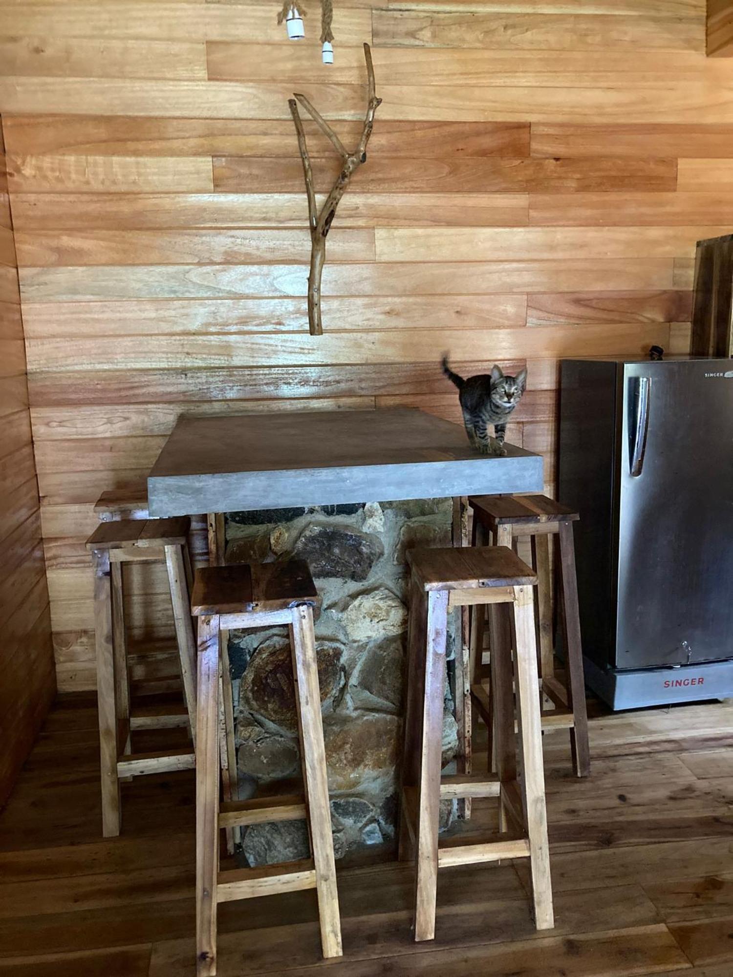 Ella Treehouse 호텔 외부 사진