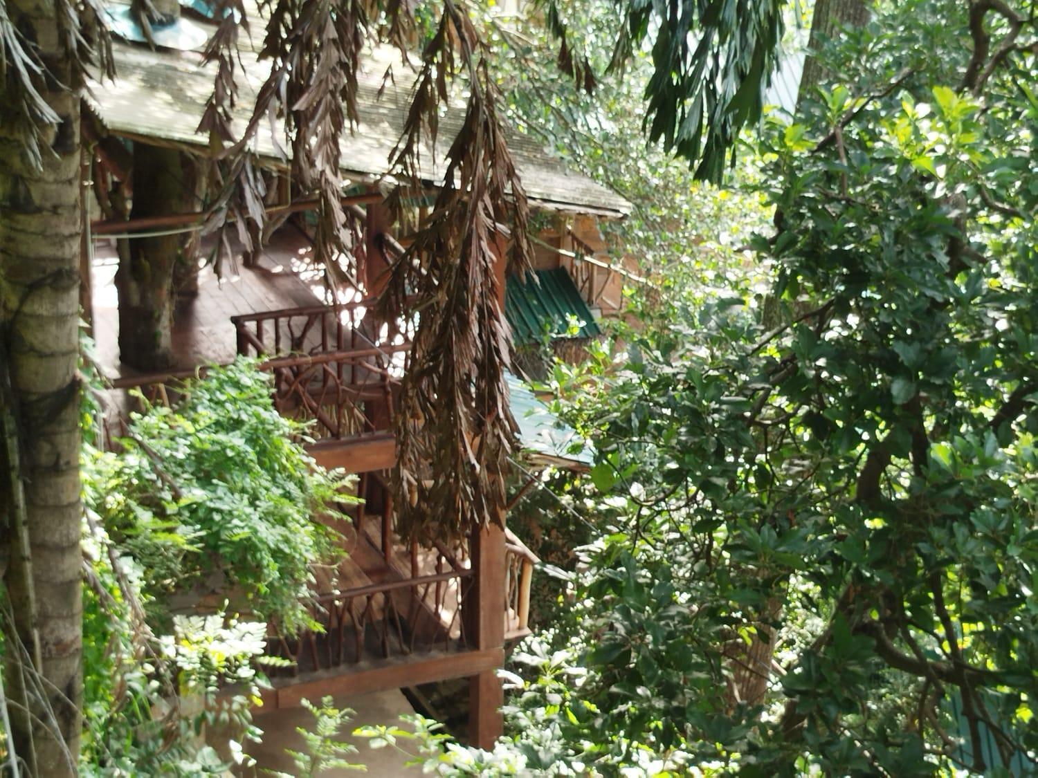 Ella Treehouse 호텔 객실 사진